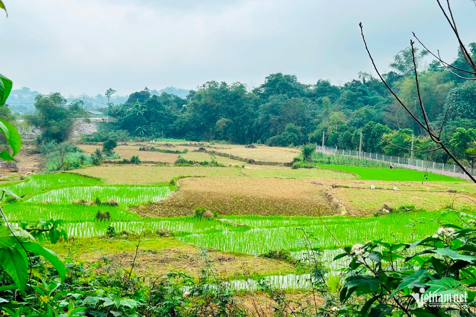 Dùng đất nông nghiệp kết hợp kinh doanh có phải nộp thuế phi nông nghiệp?