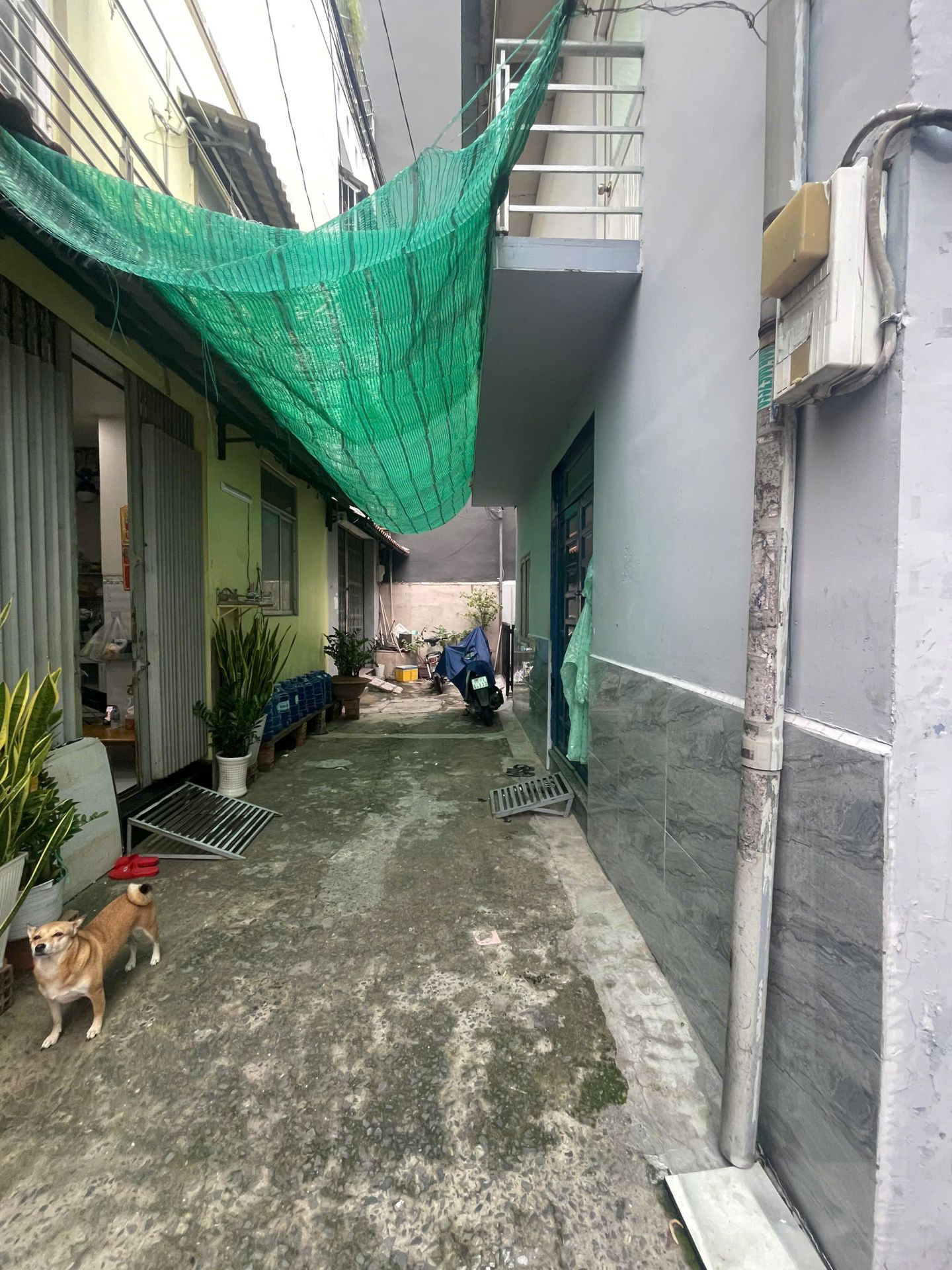 🏡 NHÀ CẤP 4 HẺM NGUYỄN SÚY – 25M² – GIÁ 3,05 TỶ